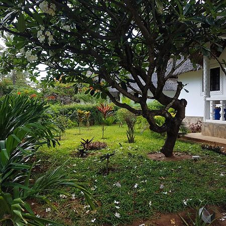 Karibuni Jeds Villas 85&86 Mambrui Exterior foto